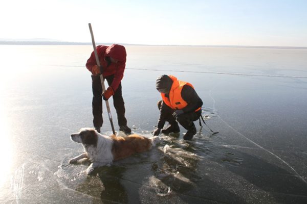 狗狗的後腳和尾巴都卡住，救援人員小心翼翼地用工具鑿開湖面。（圖／Zabaikalsk rescuers）