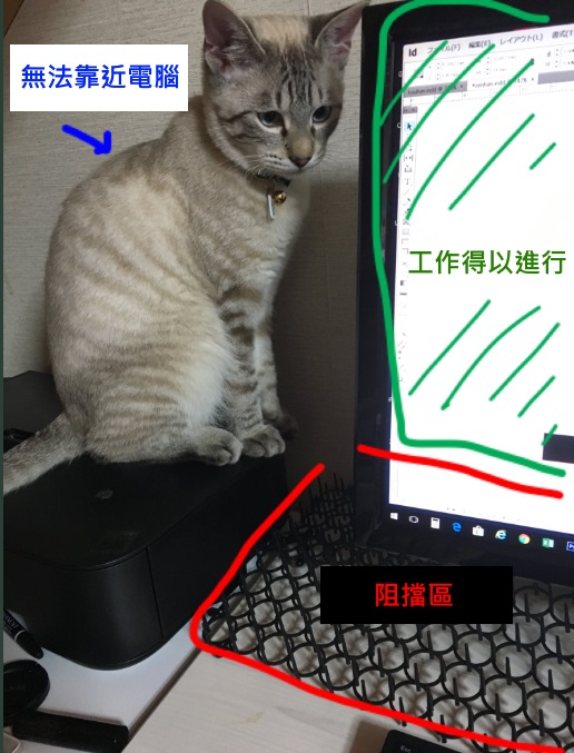 結果十分成功！貓咪果真不敢靠近電腦了！（圖／twitter＠uwabamichan_）