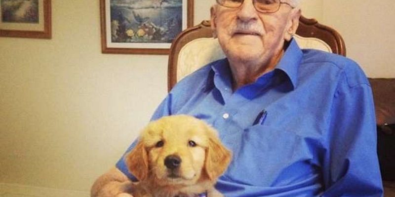 87歲爺爺帶愛犬COS天外奇蹟　網讚最萌萬聖裝！
