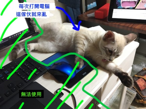 這是平常貓咪是如何擾亂她工作的示意圖。（圖／twitter＠uwabamichan_）