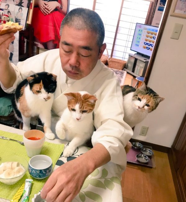 最可愛的是，每當住持在吃飯時，貓咪們總會擠到他身邊盯場～
