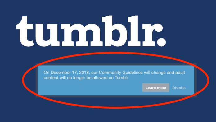 Tumblr將全面禁止成人內容　網友崩潰：我們懷念他
