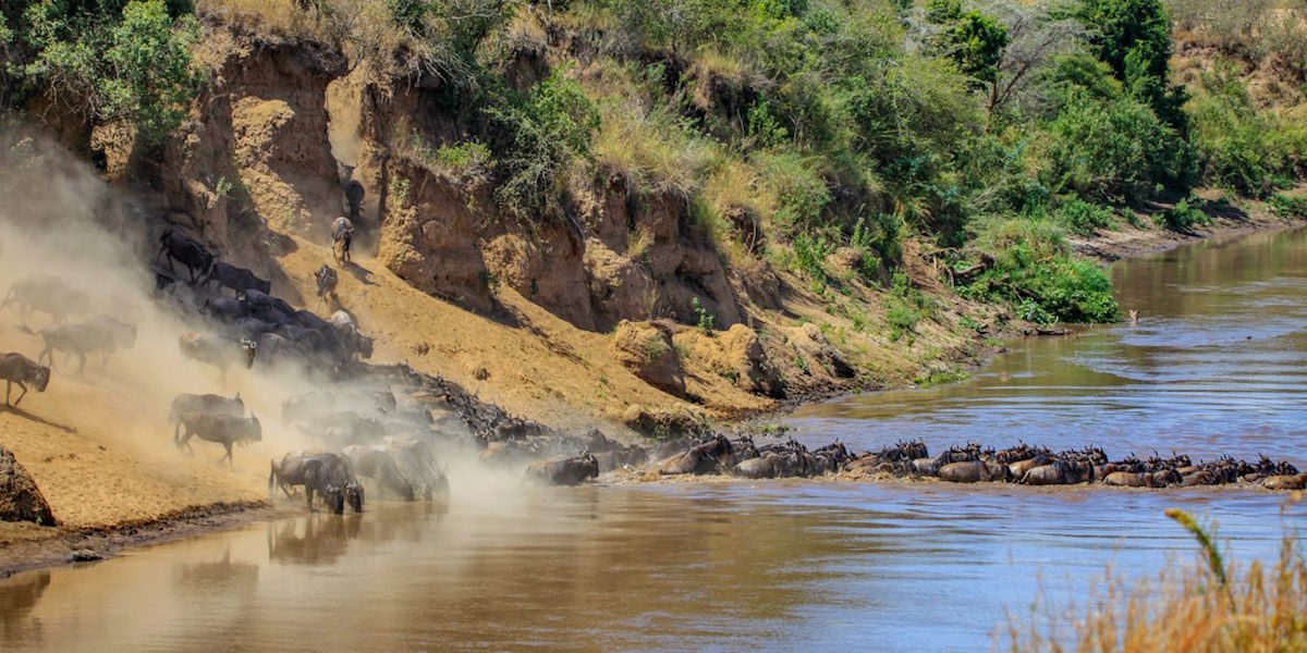  ▲前進非洲的與眾不同 遇見奇幻景觀的旅行。（圖/主辦單位提供）