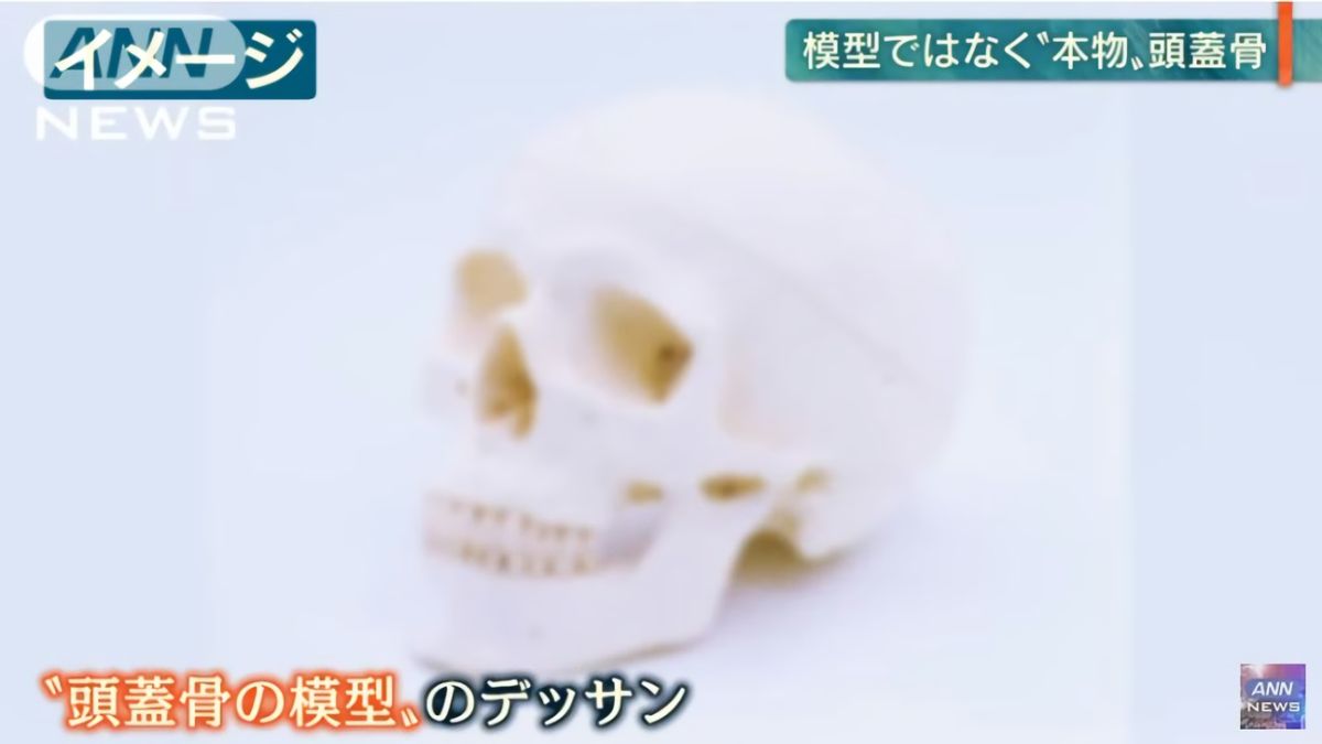 ▲日本鹿兒島市甲南高校，日前傳出使用身分不明的人類頭蓋骨練習素描。（圖／YOUTUBE）