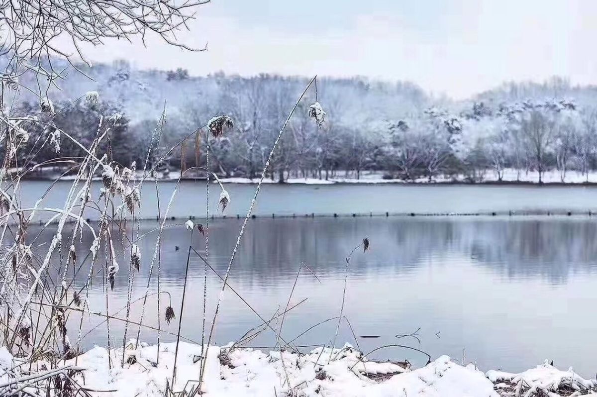 ▲大陸入冬首波寒流來襲，預計會有八成的省份氣溫將創新低，威力不容小覷，圖為杭州西湖降下的瑞雪。 (圖 / 翻攝自網路)