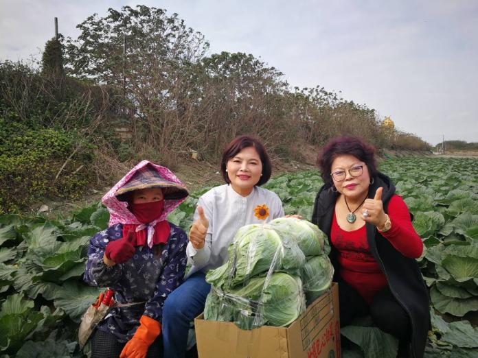 雲林農友關懷行　推銷在地高麗菜