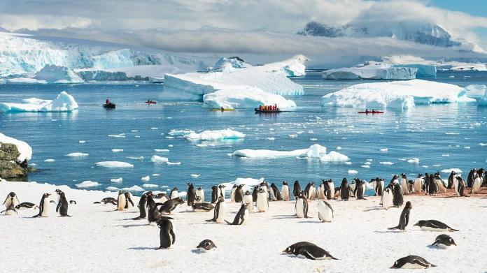 ▲南極看似是個遙不可及的旅遊目的地，但只要找對方式就能一窺這塊大陸的神秘面紗。（圖／Rosebay Travel）