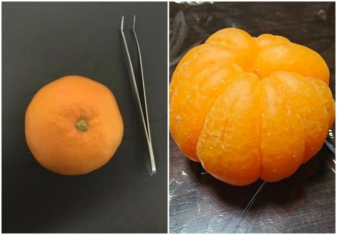▲日本網友用將橘子白絲全拔掉，成果超療癒。(圖 / 翻攝自推特)