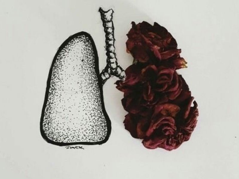 ▲衛福部國健署今日公佈2016年最新癌症登記報告，當中以肺癌新增人數最多，402新增個案中，401人皆為女性，僅一名男性。（圖／擷取自WE HEART IT）