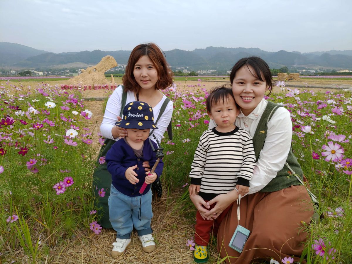 ▲每年冬至前後是望高寮花海盛開期，每年2期稻收割後，當地農民喜愛灑上波斯菊、油麻菜花種子，讓其開花當花肥，花海一眼望之不盡，已成為當地冬季最美景色。（圖／記者陳雅芳攝，2018.12.29）
