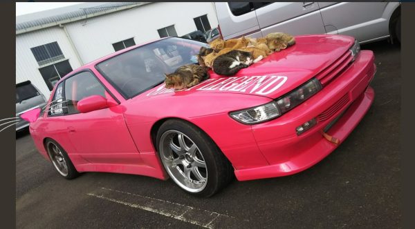 日本推特主@chizuvia有一輛很蝦趴的桃紅色日產Silvia S13，Silvia系列車款素有甩尾神駒的美稱，推主也是位熱愛甩尾的車手。