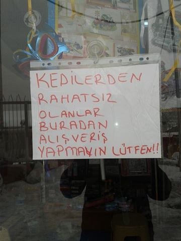 雖然大部份的人都是支持他的，但總是有一些人覺得不妥；Selçuk Bayal也在玻璃窗上貼出公告，霸氣地請那些不喜歡貓咪的人不要在這裡買東西！