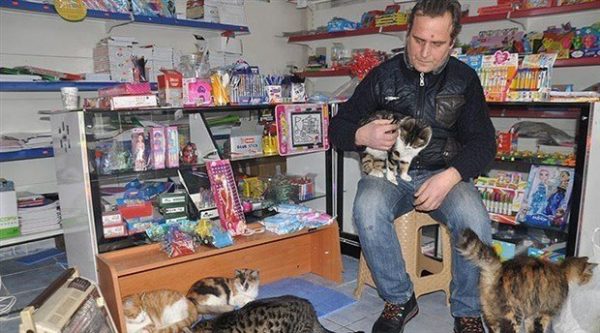 Selçuk Bayal是一間文具店的老闆，也是照顧附近流浪貓的貓志工。每當天氣轉冷時，他總是會大方開放店面讓浪貓們進來取暖。