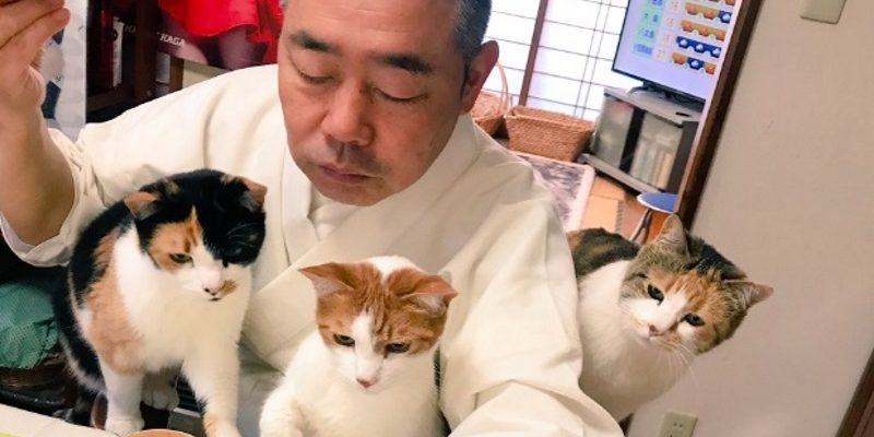 日本長樂寺有貓奴住持　愛貓每天盯他吃飯

