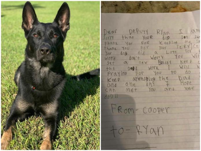 ▲美國一隻警犬 Cigo 殉職，當地男童寫信感謝領犬員。(圖 / 翻攝自臉書「PBSO - Palm Beach County Sheriff's Office」)