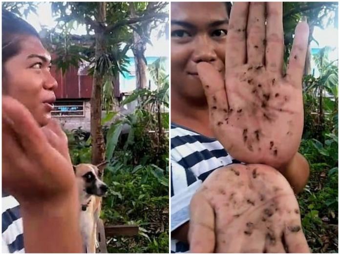▲菲律賓男子杜蘭稱自己可以用音頻吸引蚊子，一拍掌就可殺死數隻。（圖 / 翻攝自每日郵報)