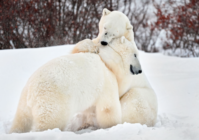 ▲擁抱，是溫暖的來源，在冷漠的世界裡，用擁抱來融化一切吧。(圖 / 翻攝自網路)