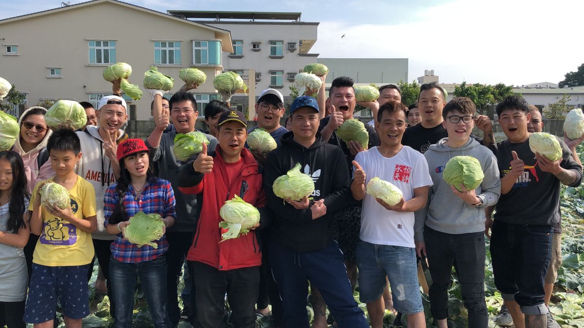▲「超狂直播主」林揚竣菜園現場直播「送」高麗菜，集結粉絲一起做公益，幫助菜農。(圖/記者陳聖璋攝，2019.01.06)
