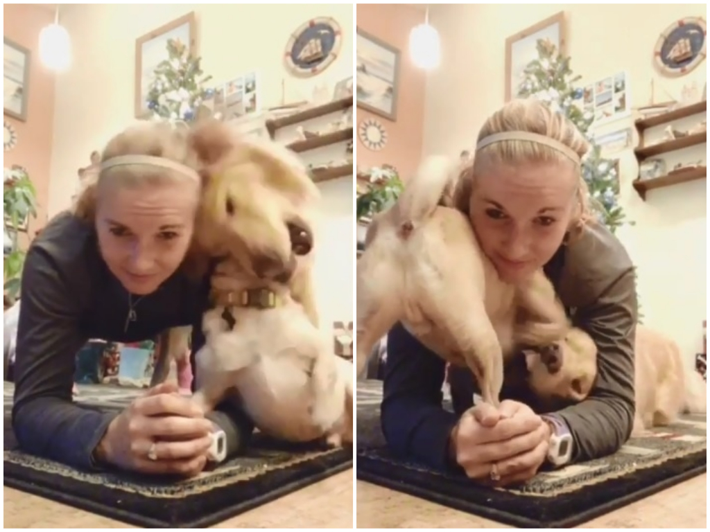 ▲主人認真做棒式，兩隻狗狗卻在一旁搗亂。(圖 / 翻攝自 IG「kyliej__92」)