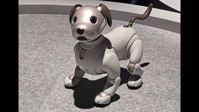 CES／超可愛　Sony Aibo智慧機器狗現身CES並將上市

