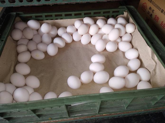 ▲台灣多番面臨「蛋蛋危機」，從年初的蛋荒到近期蛋價屢創歷史新高，都讓消費者、蛋農等各界頭痛不已。（圖／NOWnews資料照片）