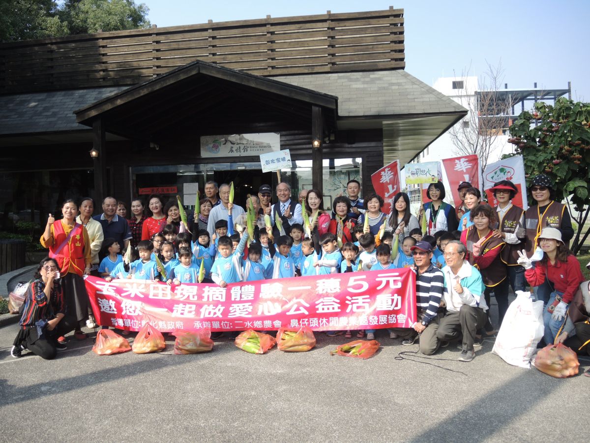 
▲二水鄉農會開放玉米田供民眾現採玉蜀黍，每穗只要五塊錢，所得通通捐給華山基金會與家扶中心，幼兒園的小朋友也到玉米田採玉蜀黍做公益。（圖／記者陳雅芳攝，2019.01.12）
