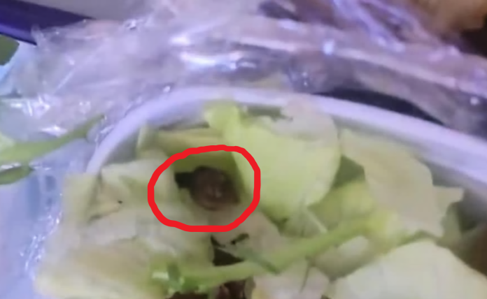 ▲東方航空飛機餐的沙拉盒裡，竟發現一隻小蝸牛，這一幕實在太令人吃驚了。（圖 / 翻攝自南方都市報）