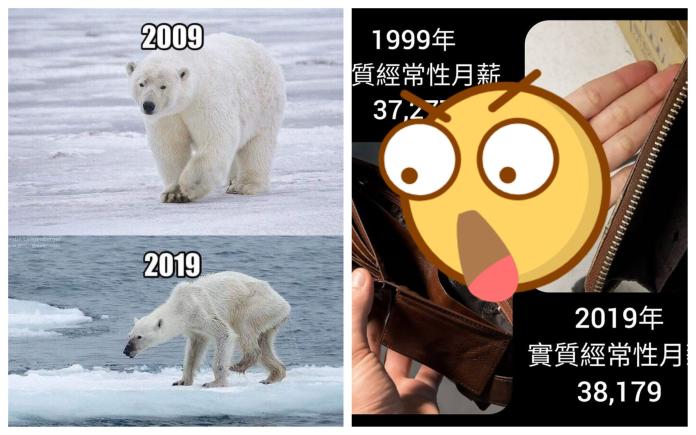 ▲網友貼出北極熊十年和現今的對照圖，激瘦模樣讓人不捨。（圖／翻攝自臉書）