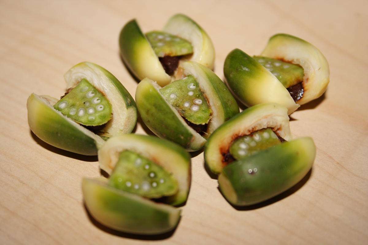 ▲南投有員警親身實驗，連吃30顆檳榔再檢驗酒測值一樣為零，戳破駕駛辯稱吃檳榔導致酒測超標的說法。（示意圖／NOWnews 資料圖片）