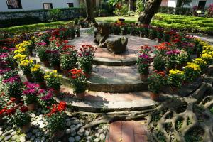 ▲林本源園邸每年都會舉辦春菊展，今年更擴大為「賀年百花展」。（圖／林本源園邸提供）