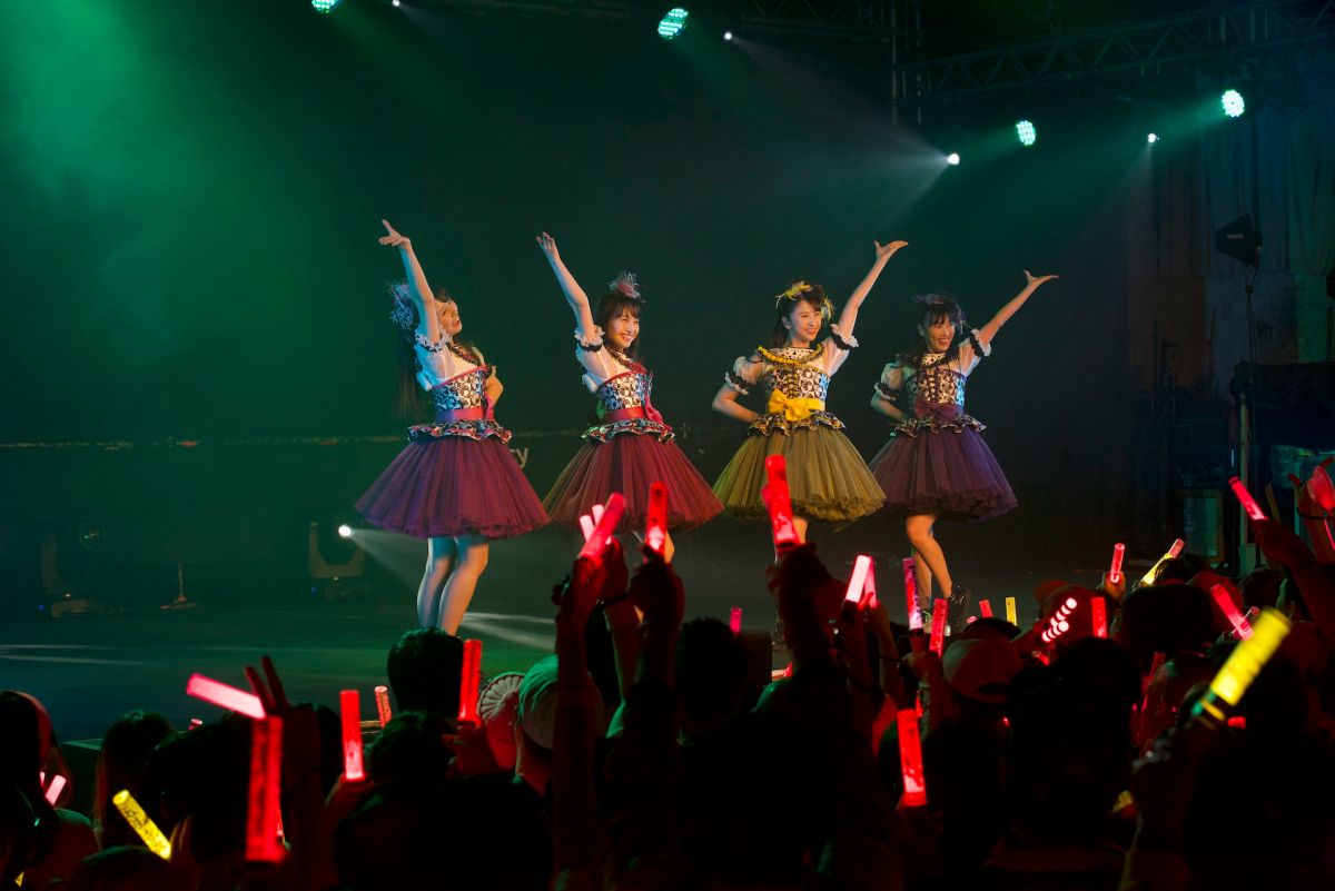 ▲桃色幸運草Z演唱會。（圖／大鴻藝術）