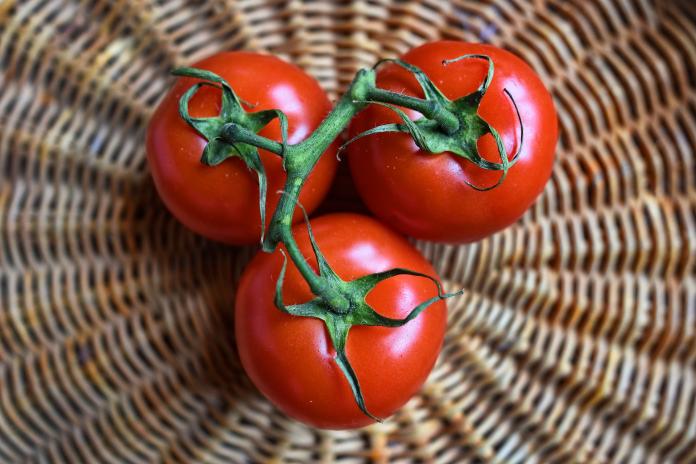 ▲專家建議，番茄一定要加油煮熟，才能溶出茄紅素。（圖／pixabay）