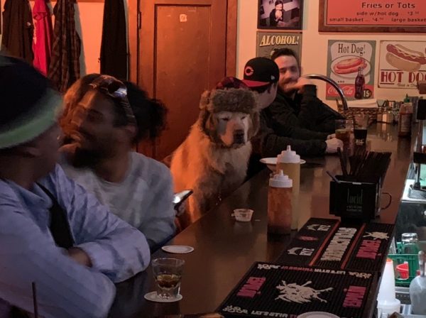 Josie Brechner到西雅圖的酒吧想喝個二杯時，一進門卻看到令她傻眼的畫面：一隻戴著帽子的狗狗淡定地坐在吧檯邊，而旁邊的酒客也一副習以為常的樣子。（圖／twitter＠visagermusic）