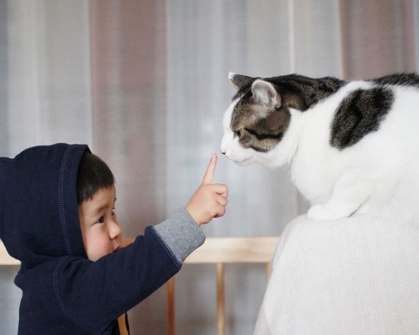 從小就跟貓咪一起長大，晴太也知道如何正確地與貓咪互動。