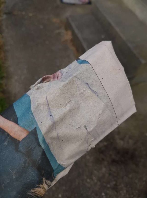 她發現報紙上有牙齒咬痕，於是心中已有嫌疑犯，但苦無證據。