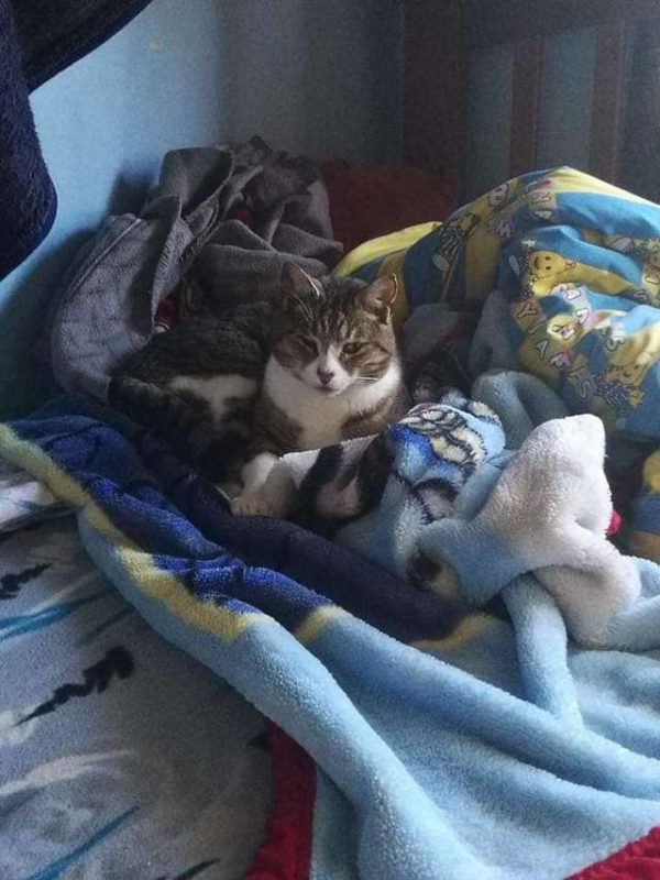 神秘送報童的身份終於被揭開了！