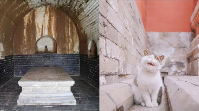 ▲日前南京出土了兩個明代的公主墓，在懷慶公主的墓中還發現了兩具貓骨，考古人員表示，這是首次發現「貓奴」的公主。 (圖 / 翻攝自南京考古微信)