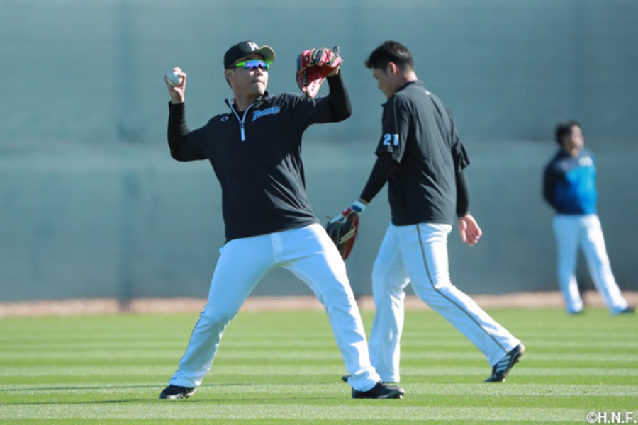 王柏融參加守備練習。（圖／取自火腿隊官網）