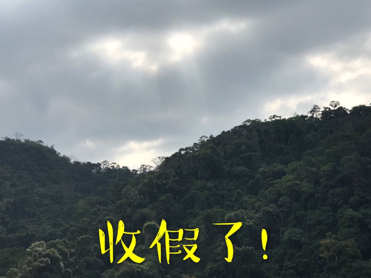 ▲長達9天的春節假期結束，大多數人即將回歸崗位，恢復正常作息。（圖／記者常似虎攝，2019.02.10）