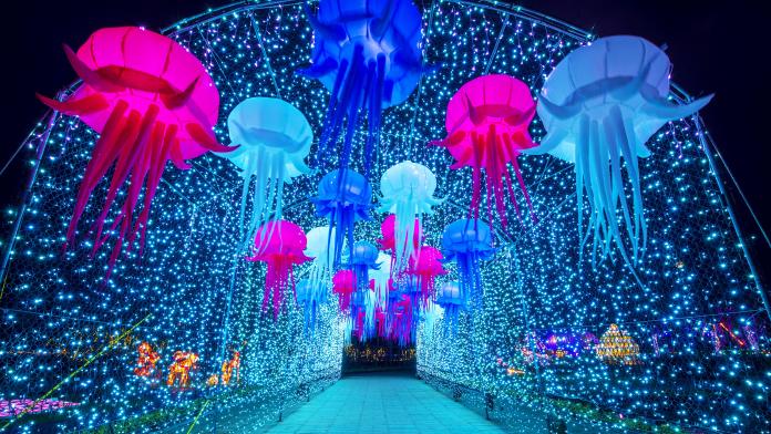 2019台灣燈會在屏東　全國最大潟湖打造海洋灣域燈區
