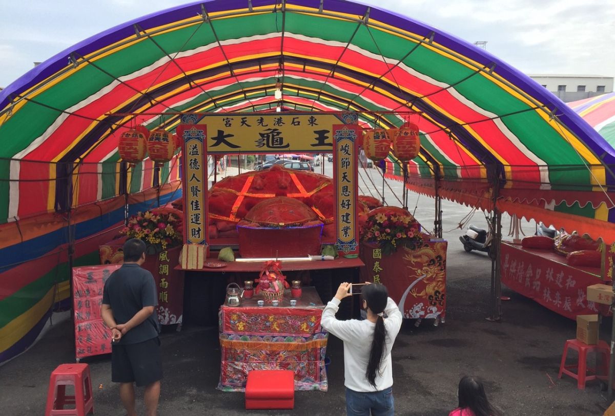 ▲東石先天宮前陳列值逾120萬新台幣的大龜王。（圖／記者陳鐘聲攝 , 2019.02.19）