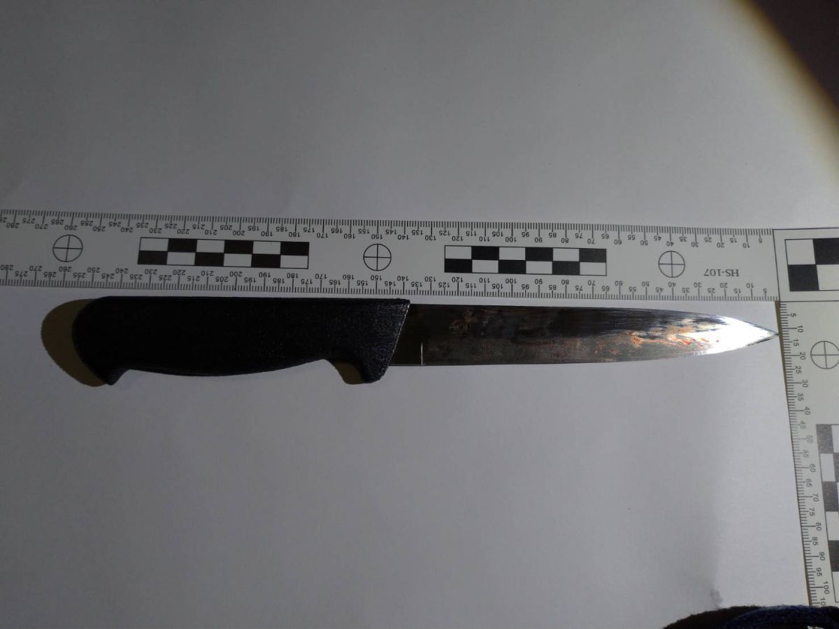 ▲女嫌犯將預藏的刀子放在白色手提袋內，再步行至案發地犯案。（圖／記者陳聖璋翻攝，2019.02.23）