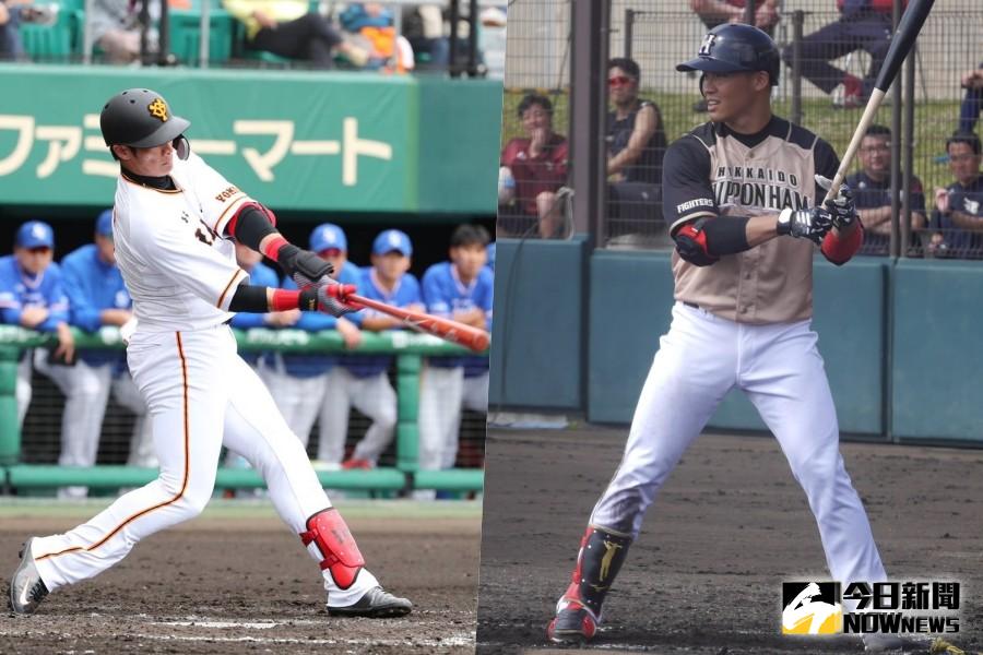 日職春訓台灣對決，王柏融對決陽岱鋼。（圖／吳政紘攝）