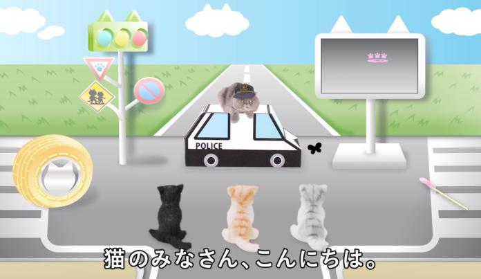 好可愛！日本推出貓咪交通安全短片　找來真貓演出
