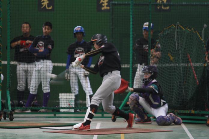 少棒最強！為何台灣棒球越長大越爛？　眾人揭「關鍵」
