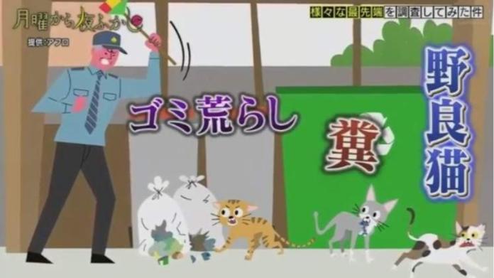 ▲日本發明辨識度高機器人，防止貓咪翻垃圾。（圖／翻攝自推特）