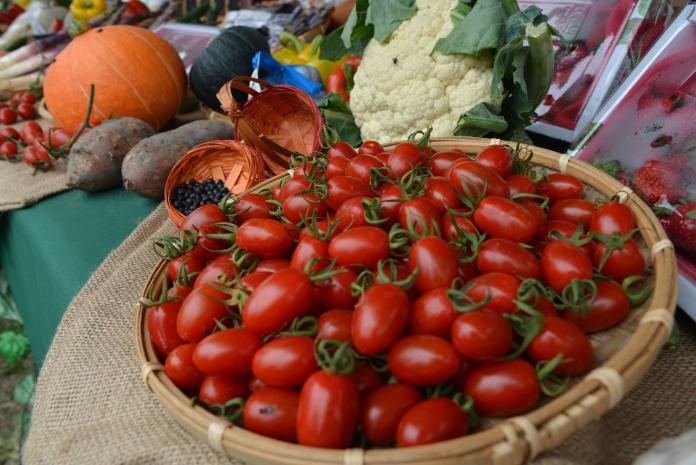 ▲麥寮種植的番茄甜中略帶酸味，更加強了番茄的香氣與口感。（圖／記者蘇榮泉攝，2019.02.28）