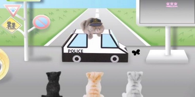 好可愛！日本推出貓咪交通安全短片　找來真貓演出
