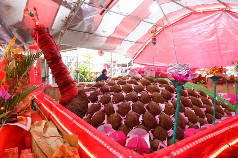 春祭大壽龜－米糕龜。（圖／連宜方攝）