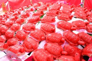 春祭大壽龜－紅片龜。（圖／連宜方攝）